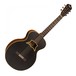 Vintage Raven by Paul Brett Electro Acoustic, Satin Black - Front View