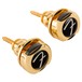 Fender Infinity Strap Locks, Gold - Main