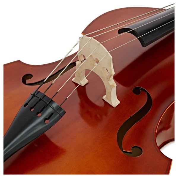 Eastman 80 Double Bass Outfit, 3/4 Size