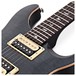 PRS SE Custom 24 Floyd, Gray Black