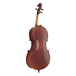 Gewa Allegro VC1 3/4 Cello, Bulletwood Bow and Bag, Back