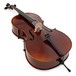 Gewa Allegro VC1 4/4 Cello, Carbon Bow and Bag, Pin