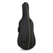 Gewa Allegro VC1 4/4 Cello, Carbon Bow and Bag, Bag