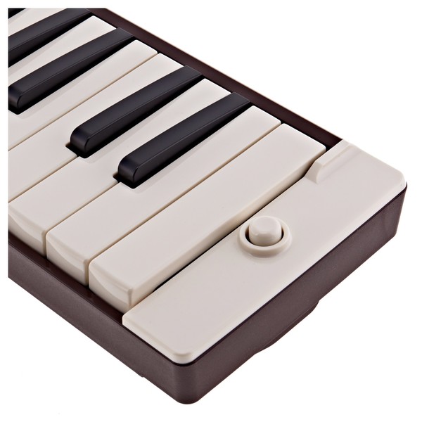Yamaha P 37E Pianica, Brown