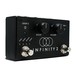Pigtronix Infinity 2 Looper Pedal - Angle
