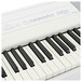 Yamaha P515 Digital Piano, White, Gator Case Bundle, Keys