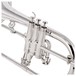 Trevor James Renaissance TJFL6500 Flugel Horn, Silver Plate