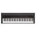 Korg Grandstage 73 Stage Piano, Gator Case Bundle