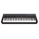 Korg Grandstage 73 Stage Piano, Gator Case Bundle, Front