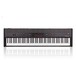 Korg Grandstage 88 Stage Piano, Gator Case Bundle