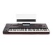 Korg Pa4X 61 Professional Arranger Keyboard, Gator Case Bundle, Stand