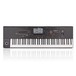 Korg Pa4X 76 Professional Arranger Keyboard, Gator Case Bundle