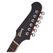 DISC Gibson Firebird, Tobacco Burst