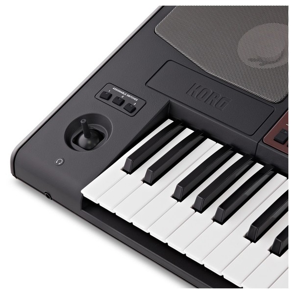 Korg Pa700 Professional Arranger Keyboard, Gator Case Bundle, Controls
