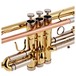 Trevor James Renaissance TJTR2500 Trumpet, Lacquer