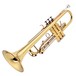 Trevor James Renaissance TJTR2500 Trumpet, Lacquer