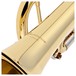 Trevor James Renaissance TJTR2500 Trumpet, Lacquer