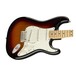 Fender Player Stratocaster MN, Sunburst w/ Gator Deluxe Hardcase - hardware