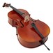 Gewa Ideale VC2 4/4 Cello, Carbon Bow and Bag