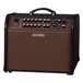 Boss Acoustic Singer Pro Amplifier with Cover - amp side