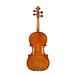 Wieniawski 1719 Stradivarius Replica Violin Outfit, Gold Set Up