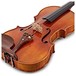 The Wieniawski 1719 Stradivarius Replica Violin, Instrument Only, Tailpiece