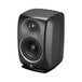 RCF Studio Monitor - Angled 2