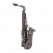 Trevor James Classic II Alto