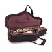 Trevor James Horn 88 Alto in Case