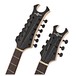 Harlem V Double Neck Guitar by Gear4music, Black