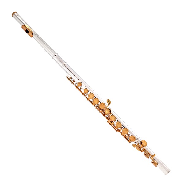 Elkhart 100FLE Student Flute, Silver Plate with Gold Lacquer keys