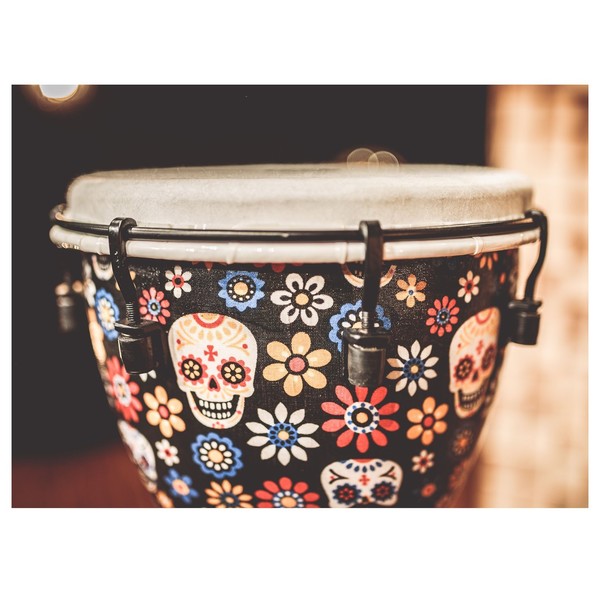 Meinl Alpine Series 10" Djembe, Day of the Dead - Detail