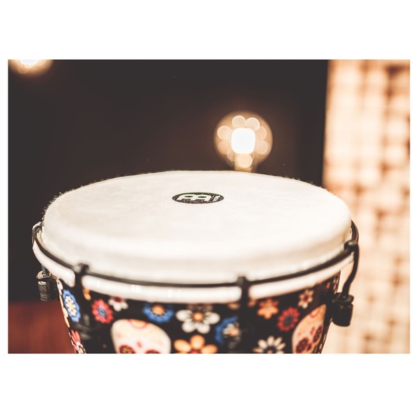 Meinl Alpine Series 10" Djembe, Day of the Dead - Angle