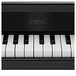 Korg tinyPiano 25 Mini Key Digital Toy Piano, Gloss Black