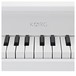 Korg tinyPiano 25 Mini Key Digital Toy Piano, Gloss White