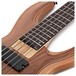 Aria IGB-50 5-String Bass, Walnut