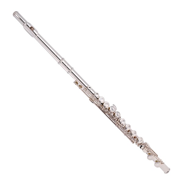 Trevor James TJ10X Student Flute, Silver Riser and Lip