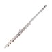 Trevor James TJ10X Student Flute, Silver Riser and Lip