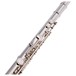 Trevor James TJ10X Student Flute, Silver Riser and Lip