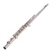 Trevor James TJ10X Student Flute, Silver Riser and Lip