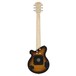 Pignose PGG-200, Brown Sunburst - Back