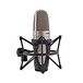 Shure KSM32 Condenser Microphone, Champagne - Microphone in Shockmount