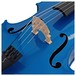 Stentor Harlequin Cello Outfit, Blue, 3/4, Bridge