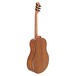 Washburn Novo S9 Bella Tono Acoustic, Charcoal Burst