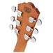 Washburn G7S Harvest Acoustic, Natural