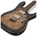 Ibanez RG1121PB Premium, Charcoal Black Burst