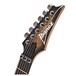 Ibanez RG1120PBZ Premium, Charcoal Black Burst