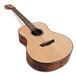 Washburn Elegante S24S Bella Tono Acoustic, Gloss Natural