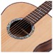 Washburn Elegante S24S Bella Tono Acoustic, Gloss Natural