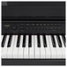 Casio Celviano AP 710 Digital Piano, Satin Black